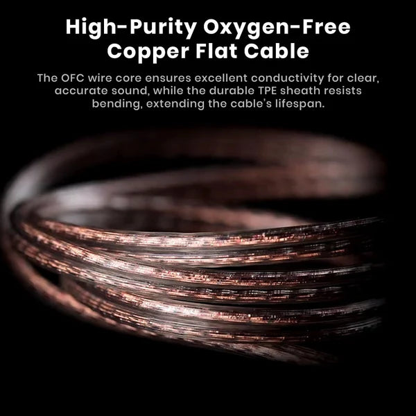 Kz Castor Pro Harman Target with Improved Bass Version IEM